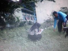 PEMBELAJARAN CTL (CONTEXTUAL TEACHING AND LEARNING)