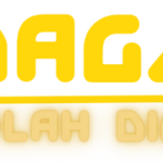 WEB 6